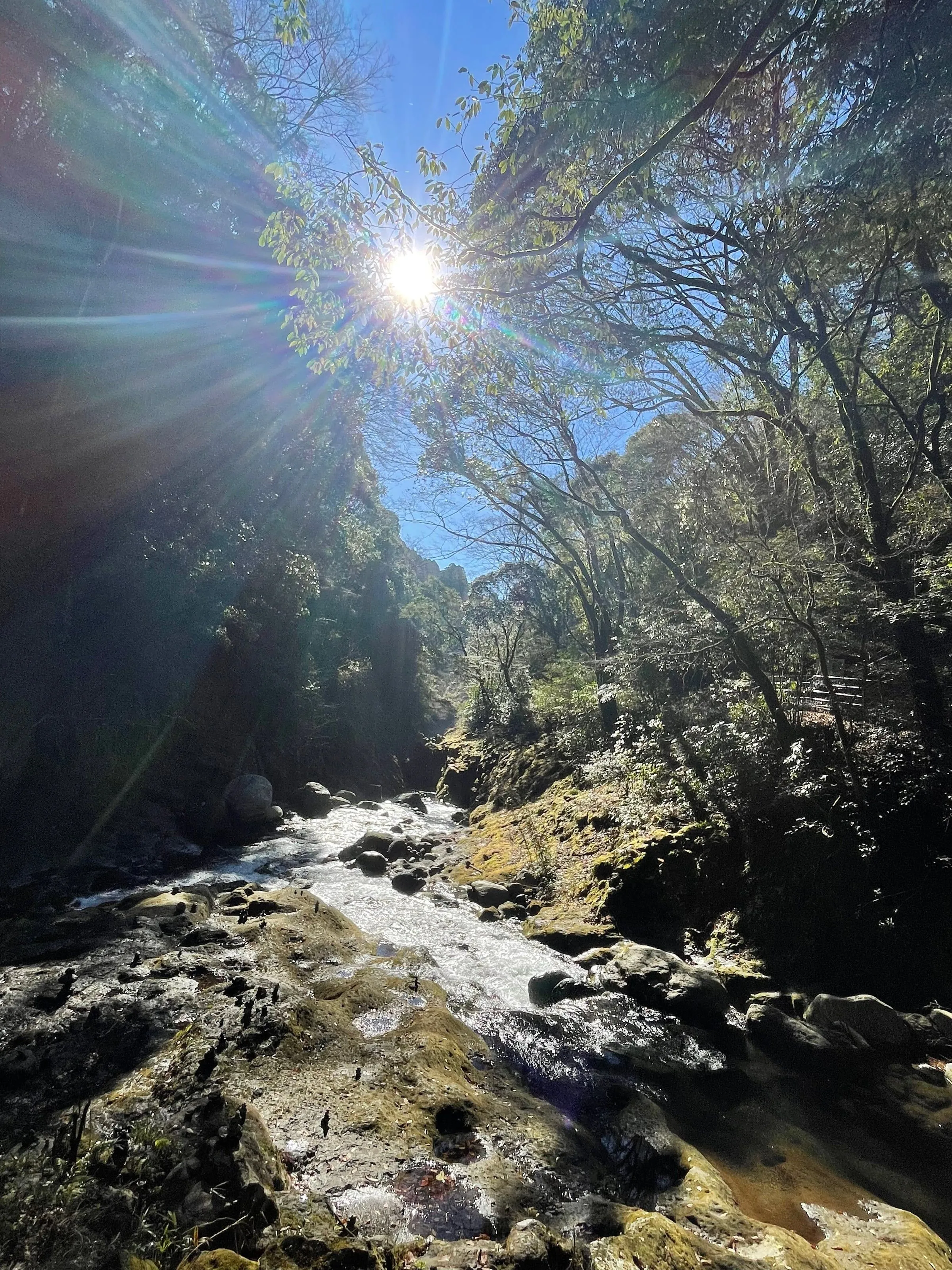 高千穂の山あいに広がる風景 1